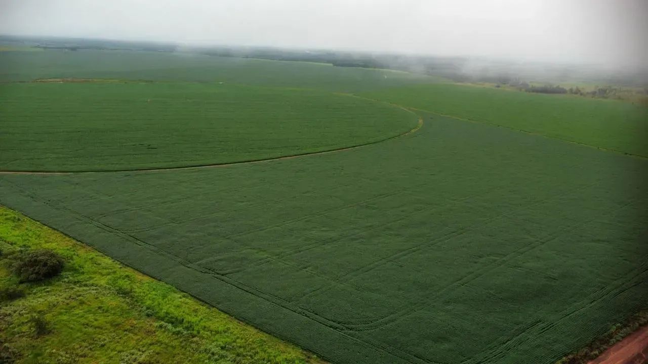 Fazenda a venda, em Silvanópolis - Tocantins - Foto 2