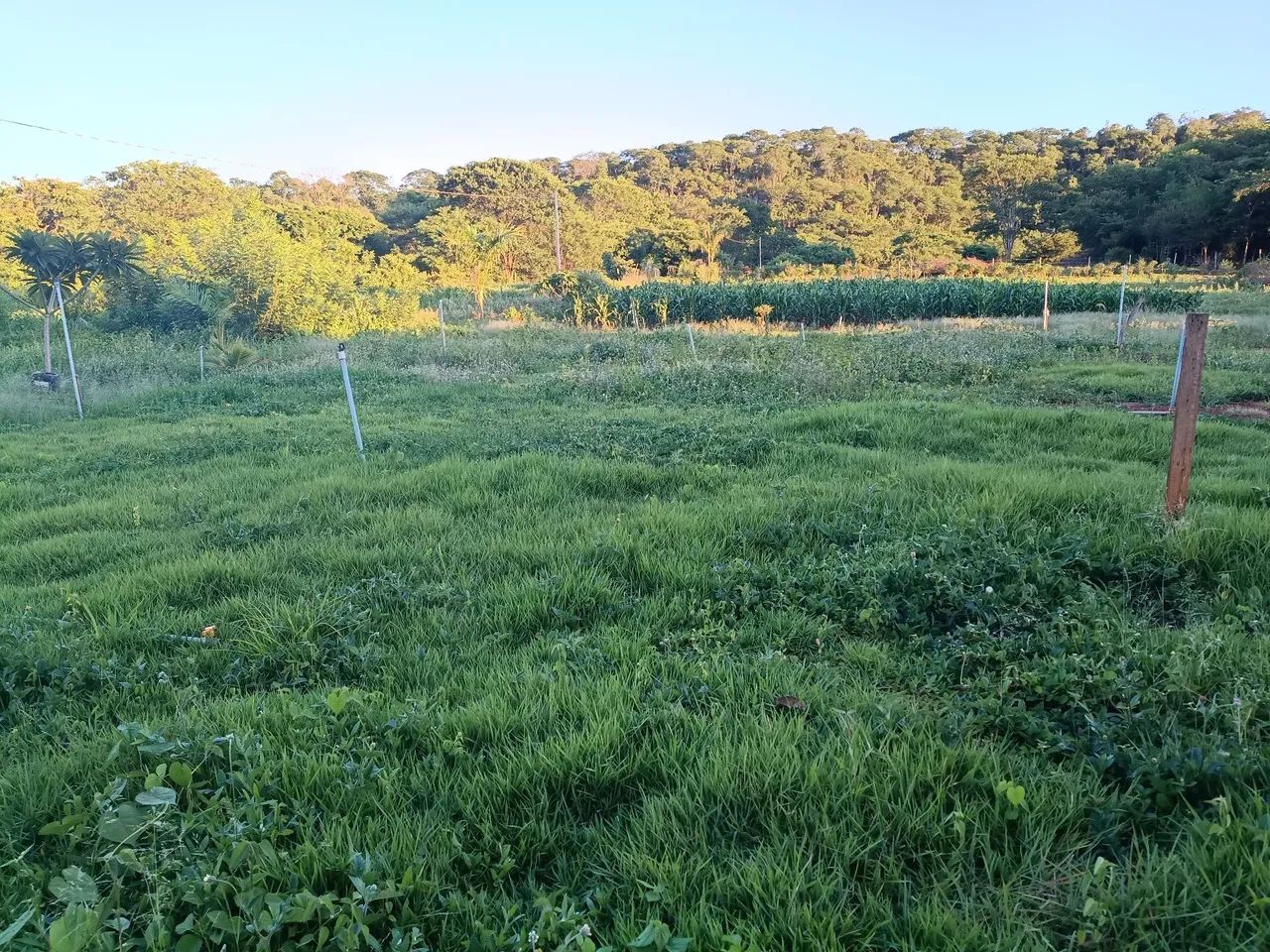 Foto - Montes Claros - Santos Reis
