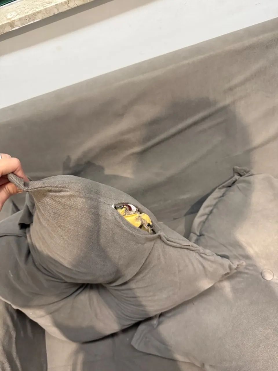 Used Sofa65566182801283124