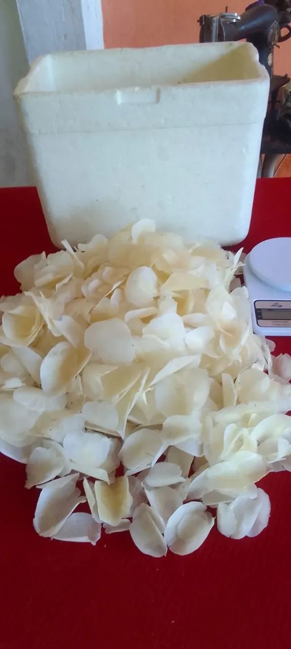 1 Kilo de escamas de peixe Camurupim para artesanatos diversos - Foto 2