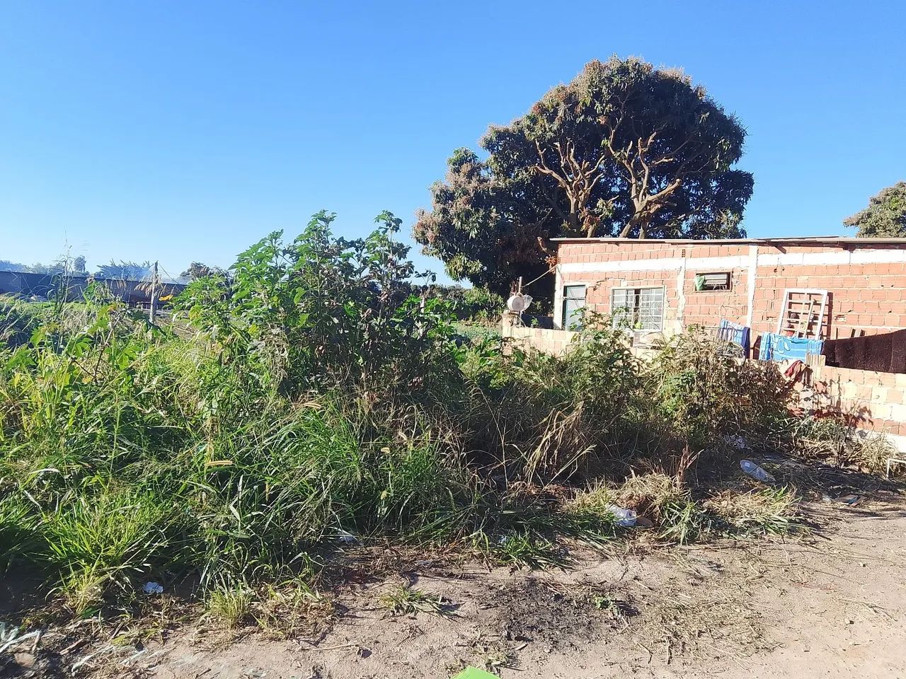 Lote  - Foto 5