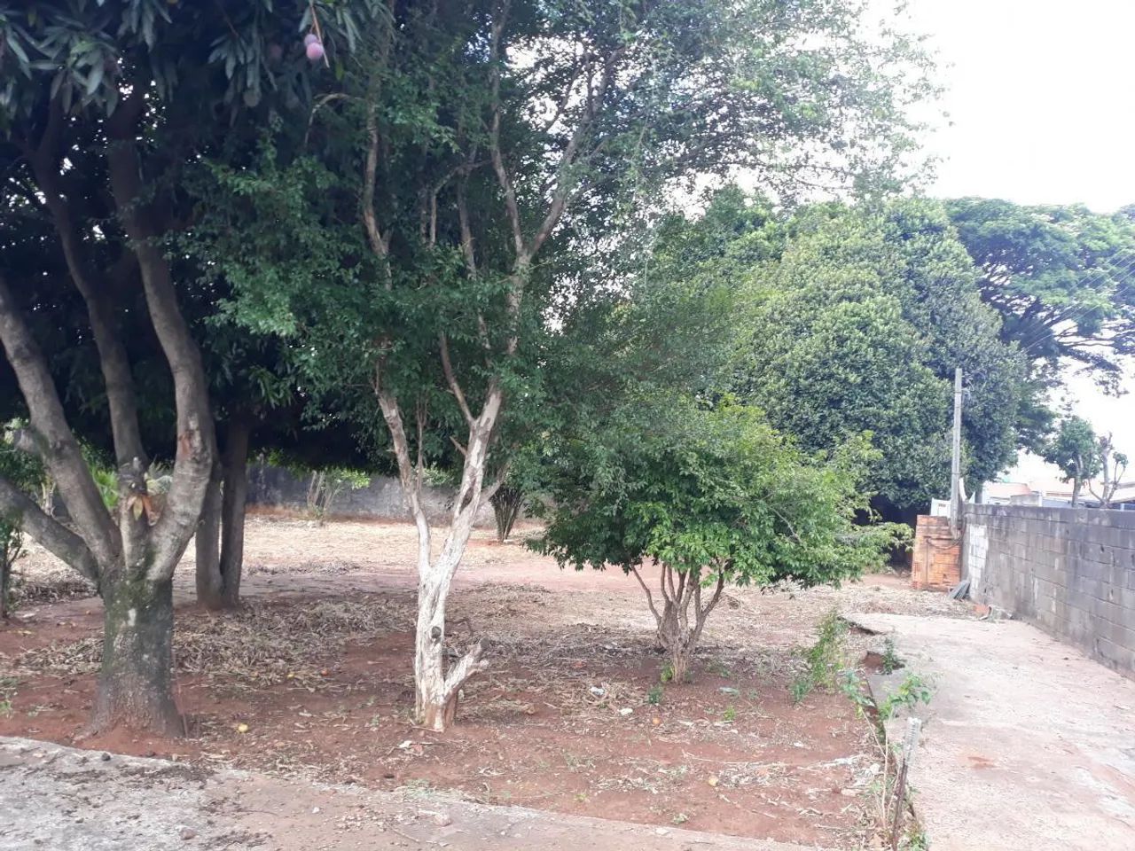 Terreno para Venda em Campinas, Jardim Aparecida - Foto 4