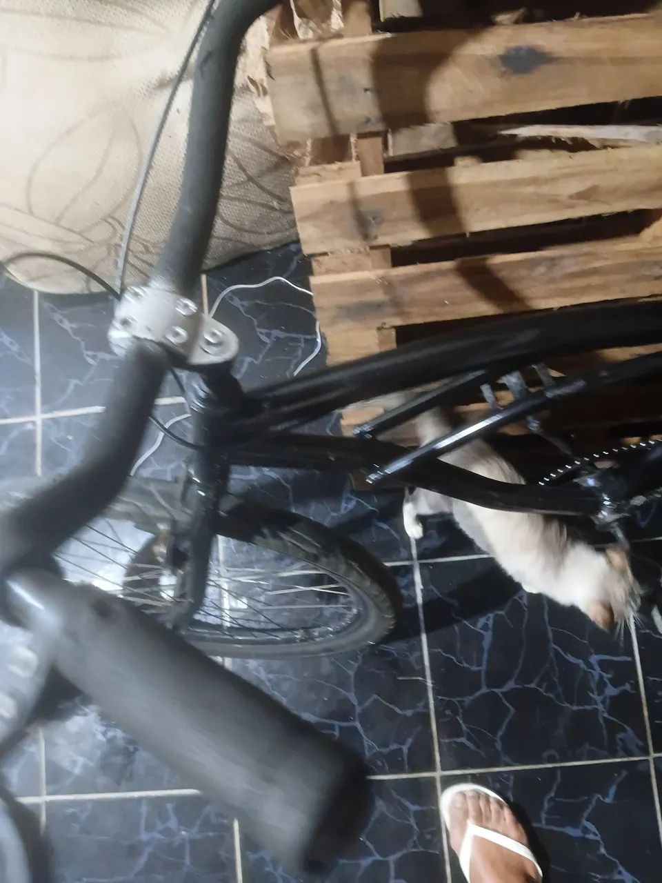 Bicicleta  - Foto 5