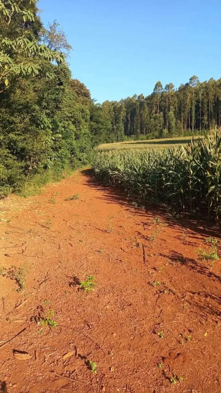 Sítio a venda - Foto 3