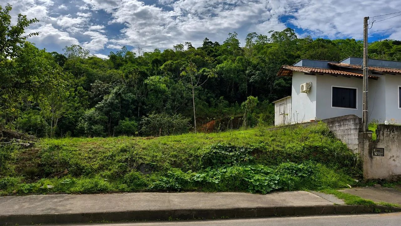 Terreno plano pronto para construir  - Foto 4