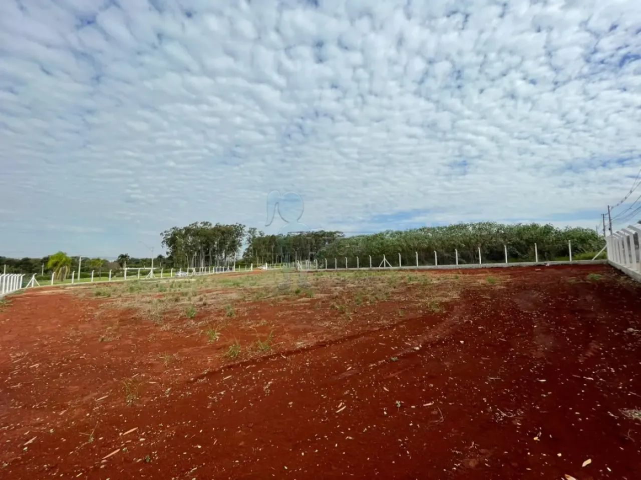 Terreno de 4.200m² para locação - Parque das Oliveiras - Foto 2