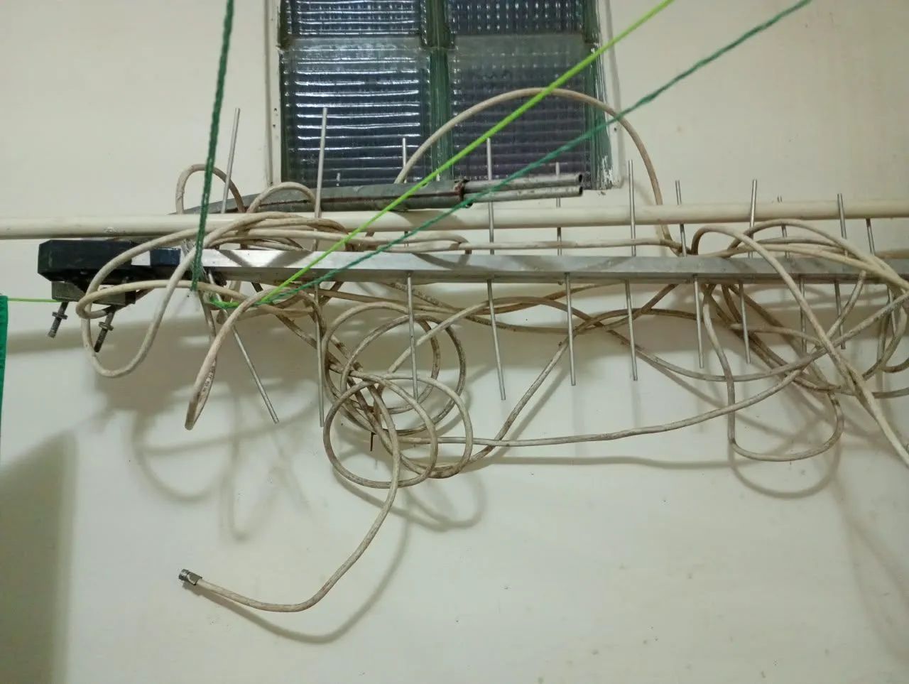 Antena 