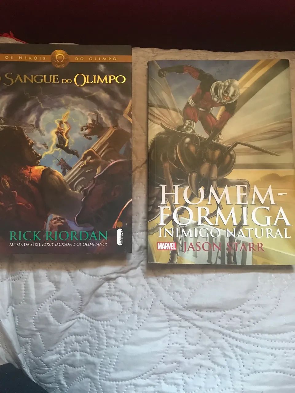Livros homem formiga e sangue do olimpo - Foto 2