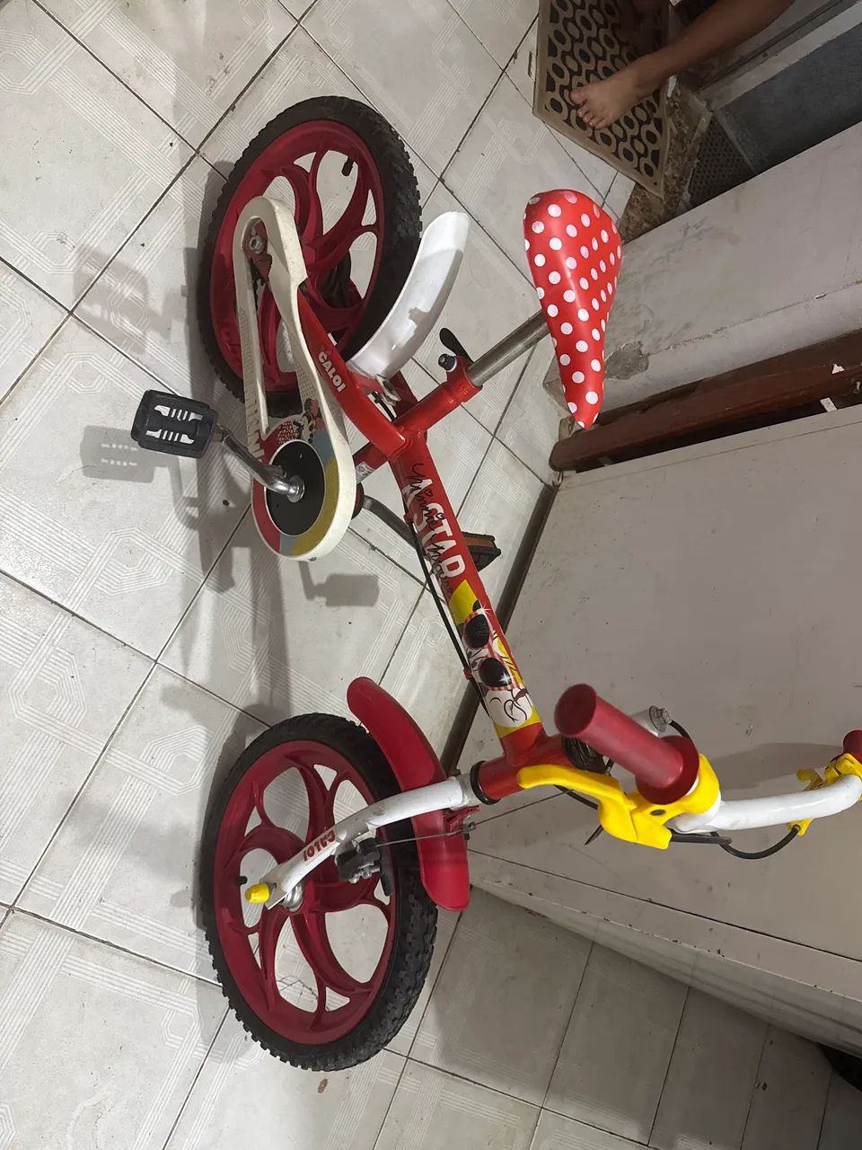 Bicicleta