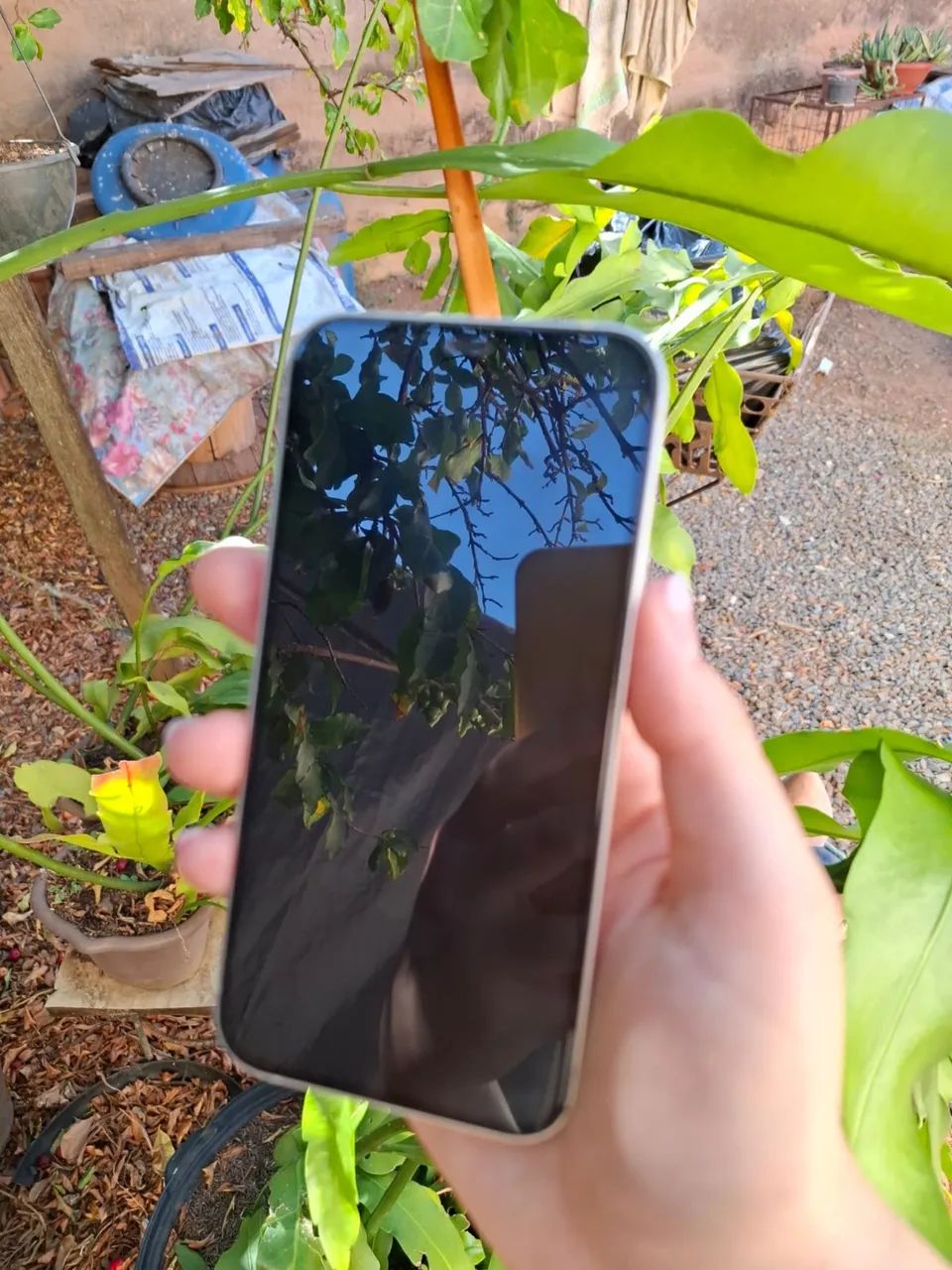 iPhone 12 | 128GB - Foto 3
