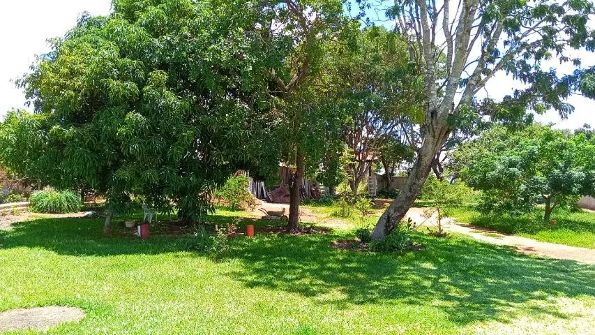 CHÁCARA A VENDA - Foto 4
