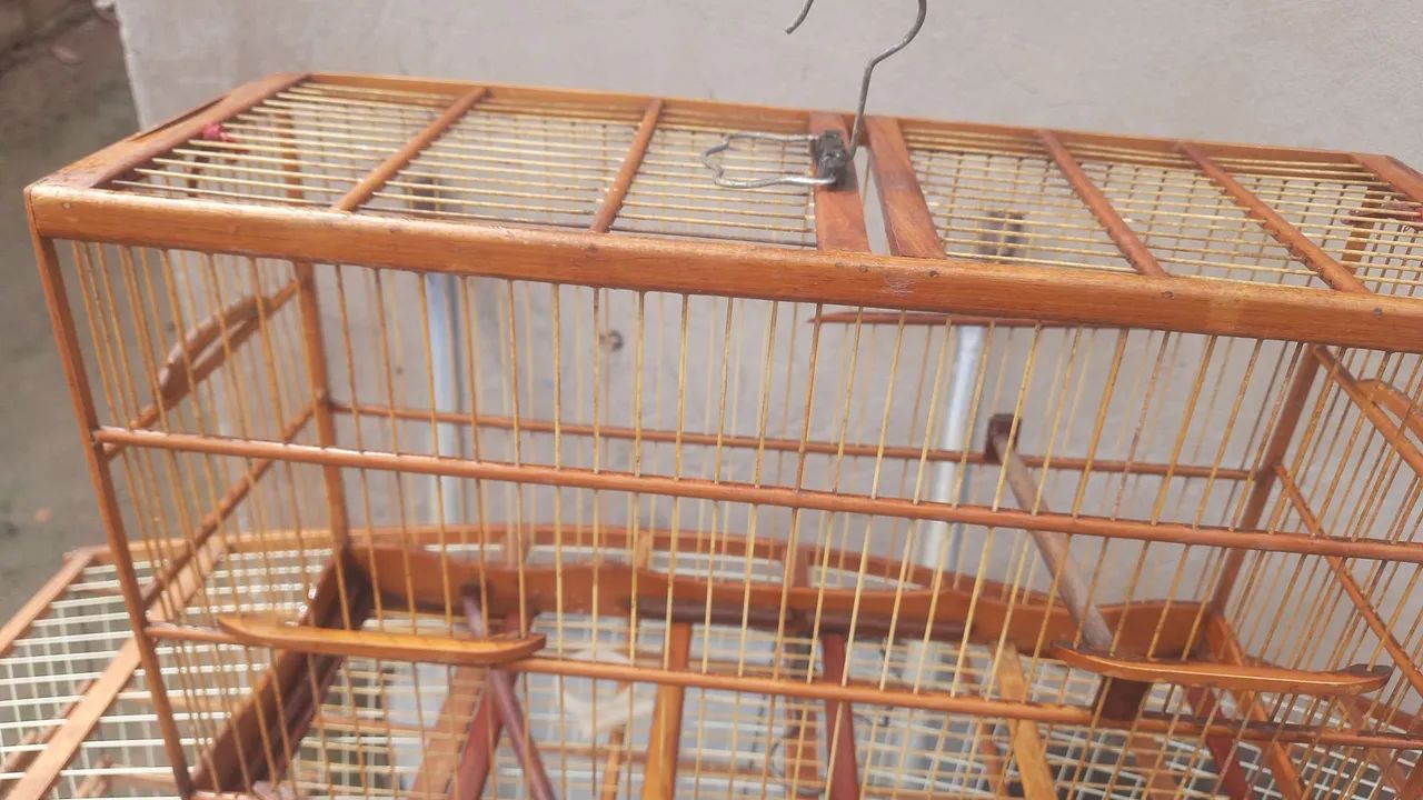 2 gaiola  - Foto 3