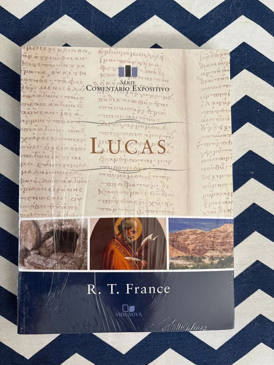 Comentário expositivo Lucas Vida Nova