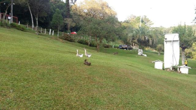 Lindo Sítio na Serra Gaúcha!! - Foto 7