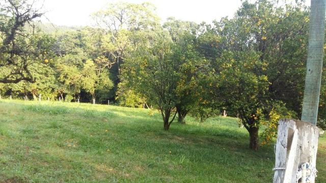 Lindo Sítio na Serra Gaúcha!! - Foto 9
