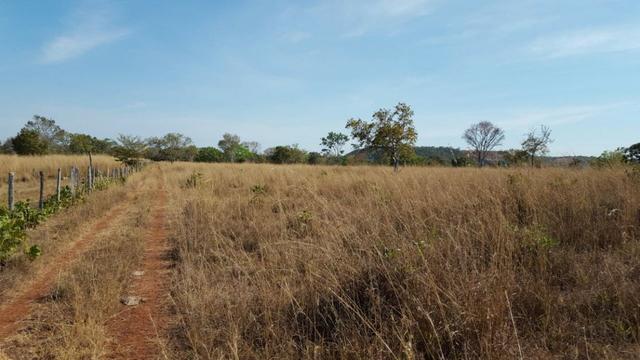 Fazenda com 355 ha na saída para Paraíso - Foto 9