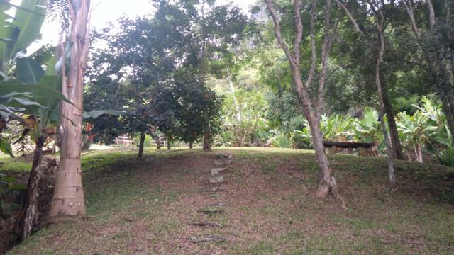 Sítio de alto padrão Pedra Aguda Bom Jardim - Foto 9