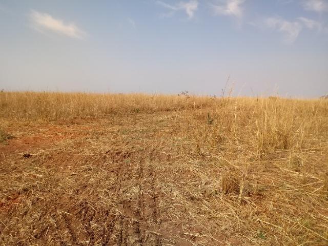 Vendo uma Fazenda para Pecuaria de 1.100 hectares no Lago do Manso - Foto 11