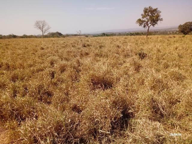 Fazenda abeira do asfalto na estrada da Guia 67 km de Cuiabá - Foto 14