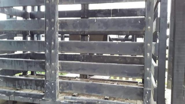 Fazenda para venda em feira nova, feira nova - Foto 13