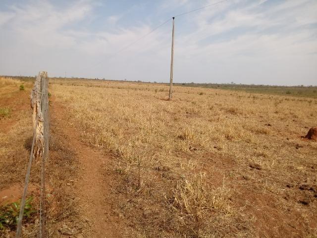 Vendo uma Fazenda para Pecuaria de 1.100 hectares no Lago do Manso - Foto 9