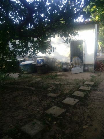 Venda de sitio - Foto 11