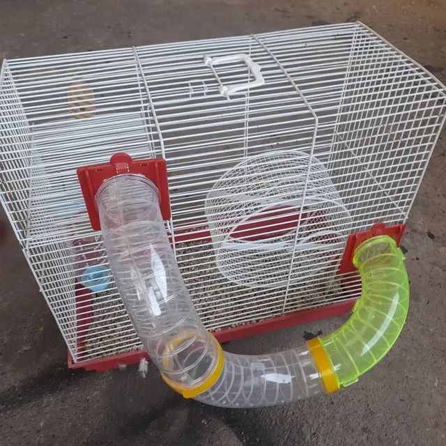 gaiola para roedores 
