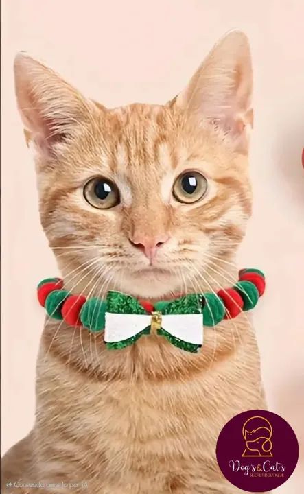 Colar de natal para cães e gatos