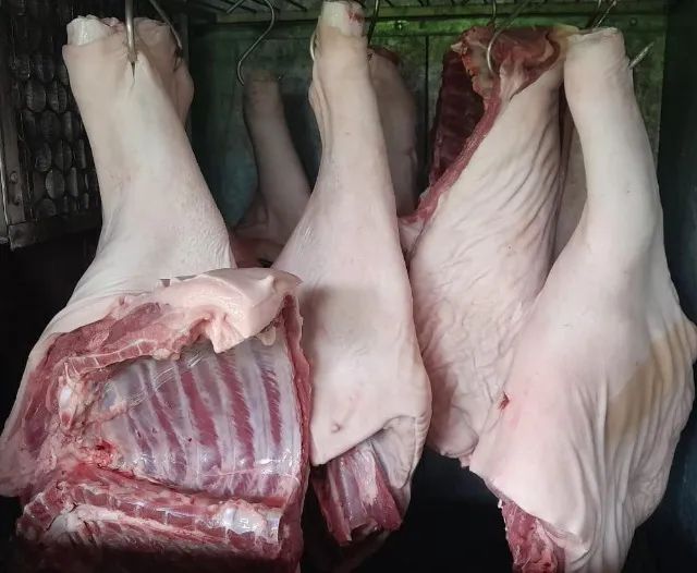 Leitão, Leitoa e porco caipira direto da roça - Foto 4