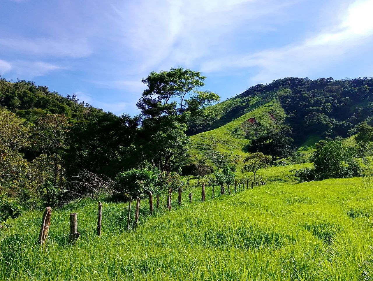 Fazenda a venda  - Foto 7