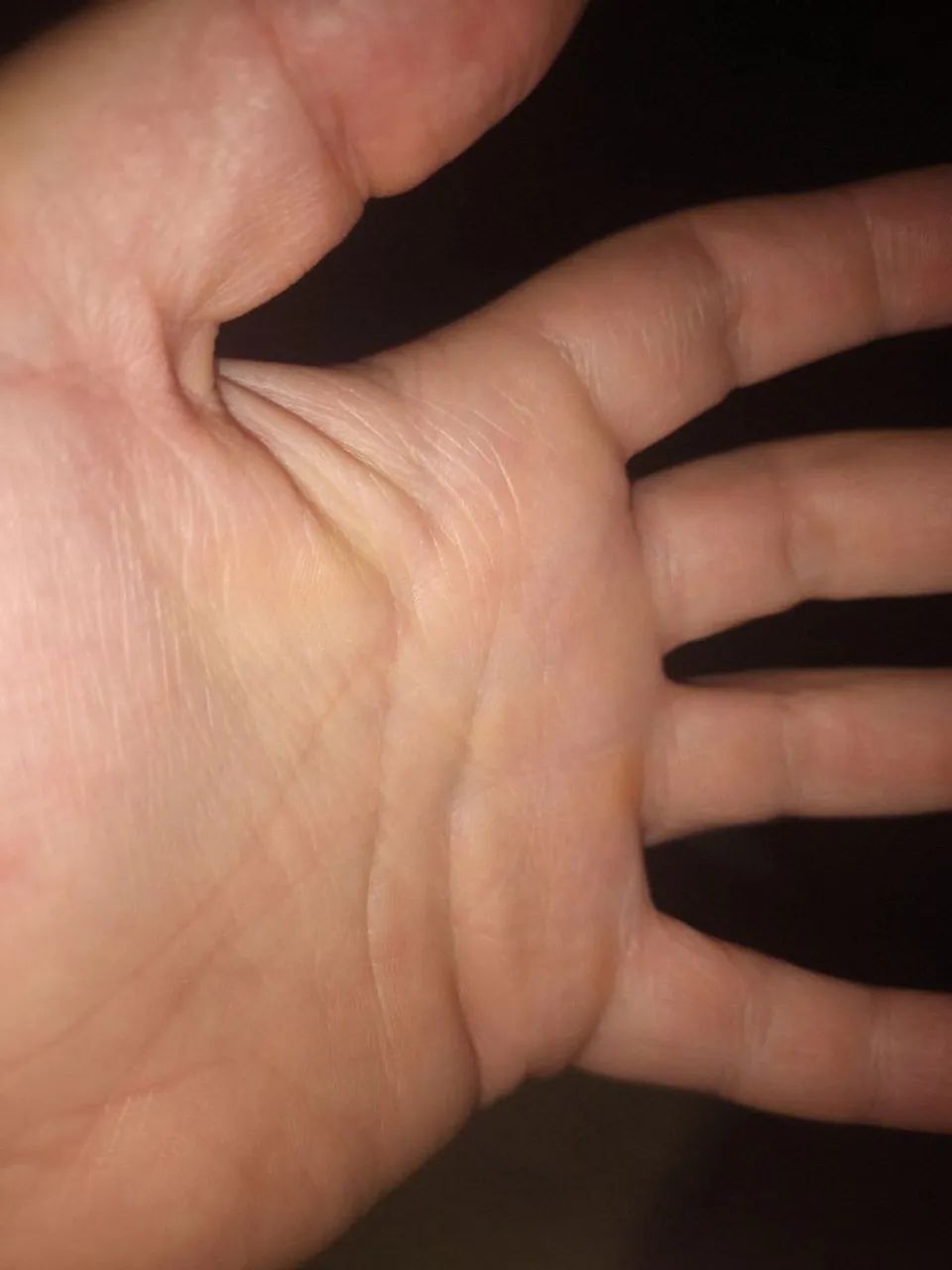 Tablet 64166967139587120