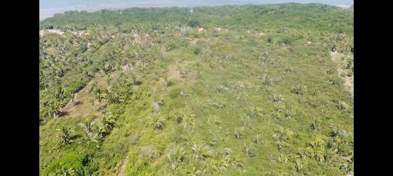 Vendo Sitio com 2 hectares em Paço do Lumiar  - Foto 2