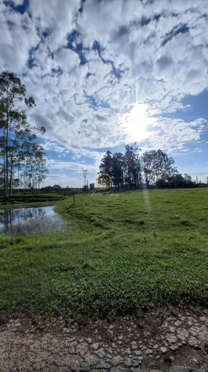 Sítio usado à venda em Nova Santa Rita, Porto da Figueira REF: CS0108 - Foto 3