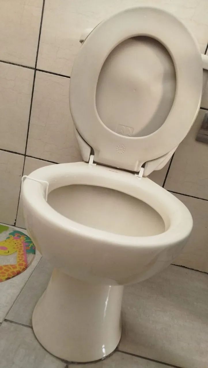 Toilet with Integrated Cistern64706407896322123