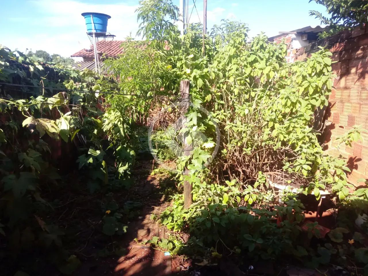 Ref. Office 2826 Vende-se Lote com 2 Casas  Excelente Oportunidade! codigo: 115918 - Foto 5