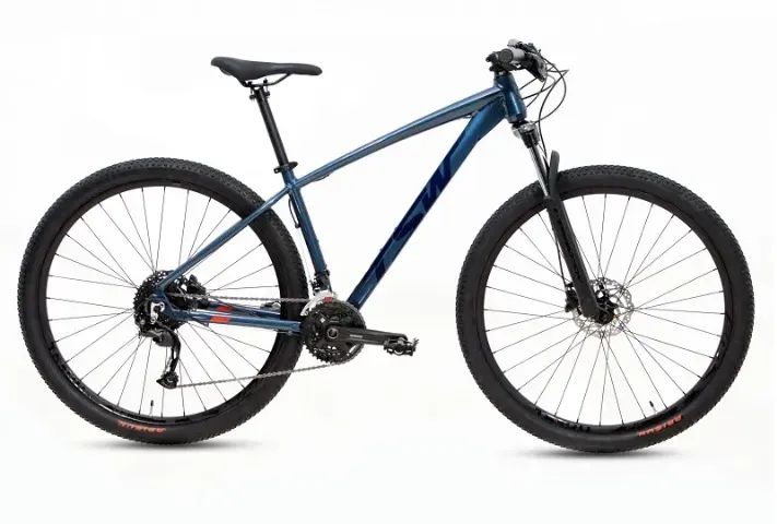 Bicicleta Tsw Ride 21v Aro 29 