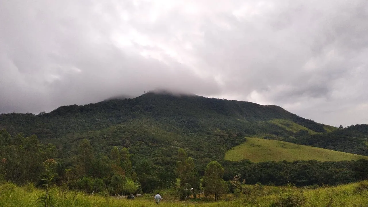 Fazenda 70 Alqueires, 23 Alqueires em Pasto, 10 Alqueires em Pinus com 10 Anos, 2 Alqueire
