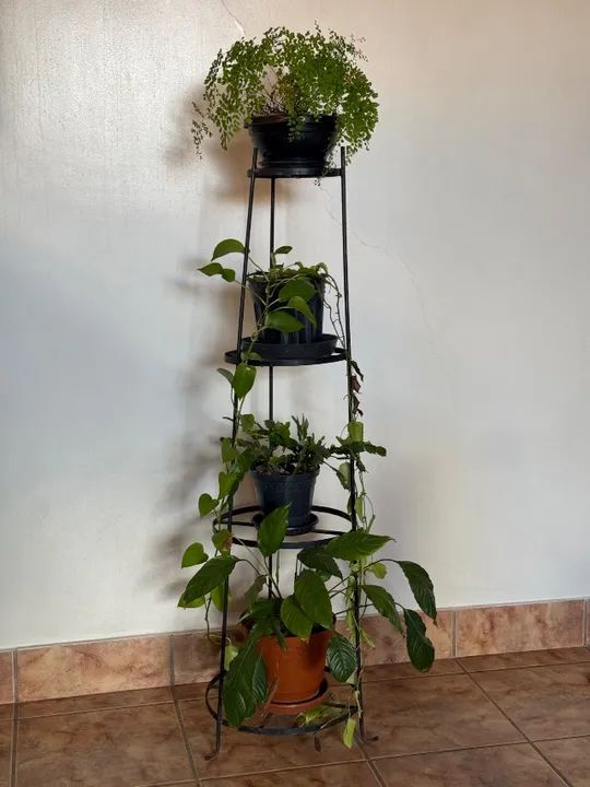 Baixou: Suporte Tripé para plantas, em ferro - Foto 2