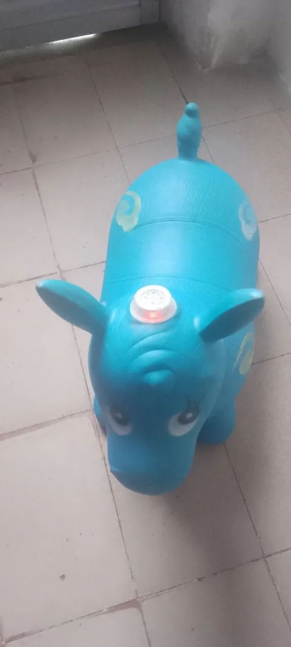 Vendo Cavalinho por 50 reais  - Foto 2