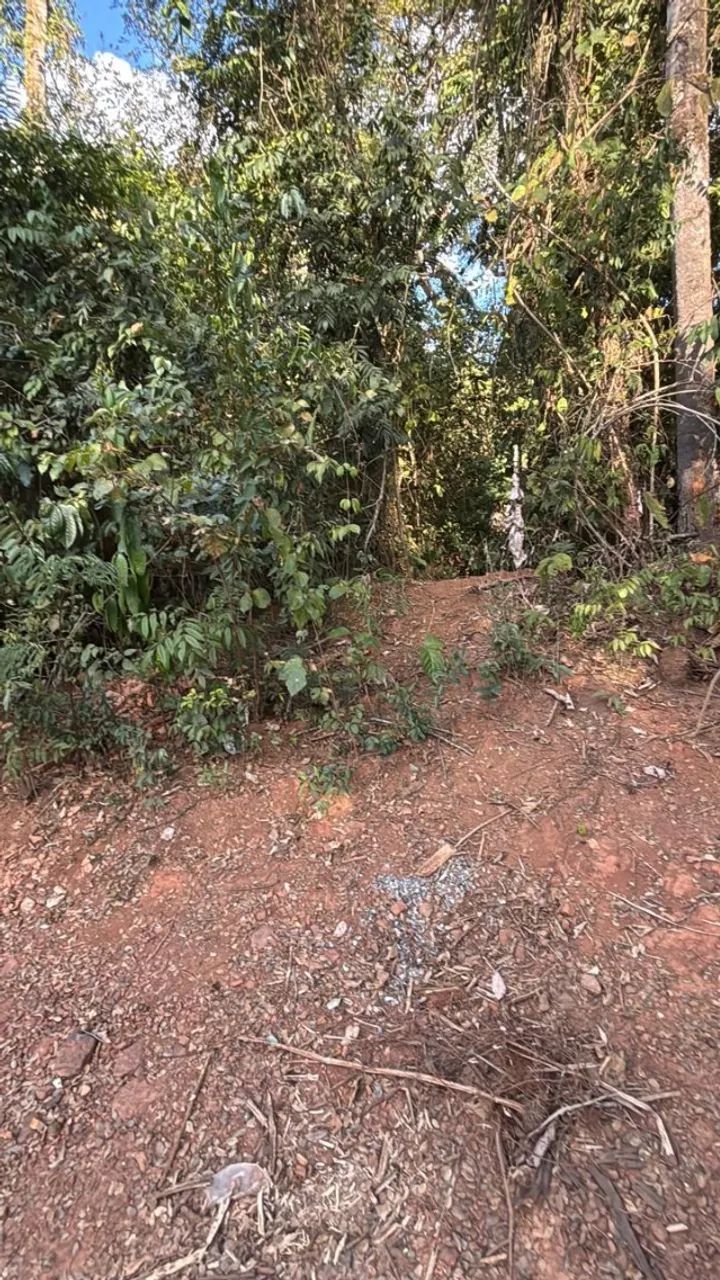 CHÁCARA EM BRUMADINHO  ESTRADA DE SUZANO!!! - Foto 12