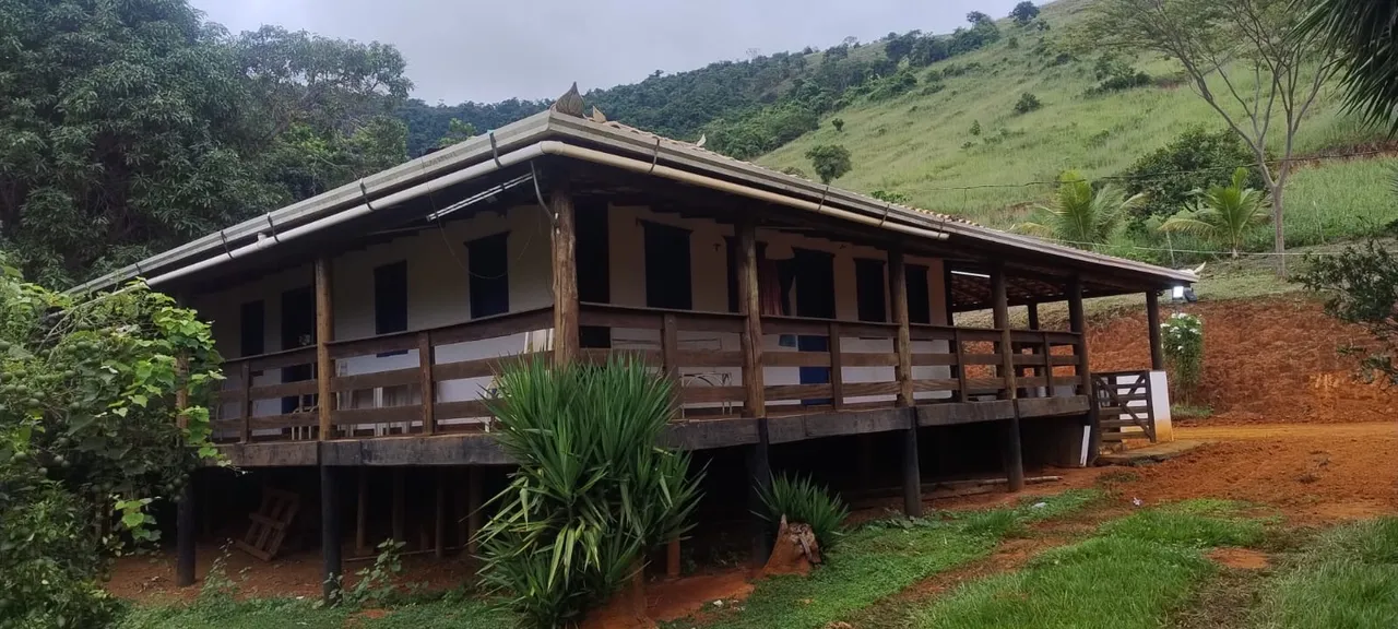 Fazenda a venda 25 hectares - Região de Ipatinga