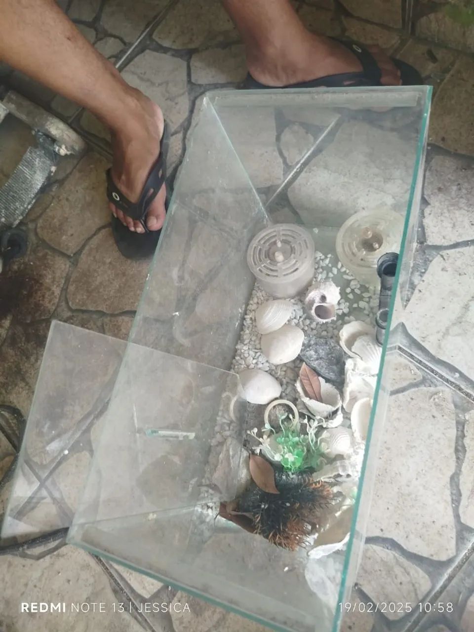 Aquário de diversos tamanhos  - Foto 6