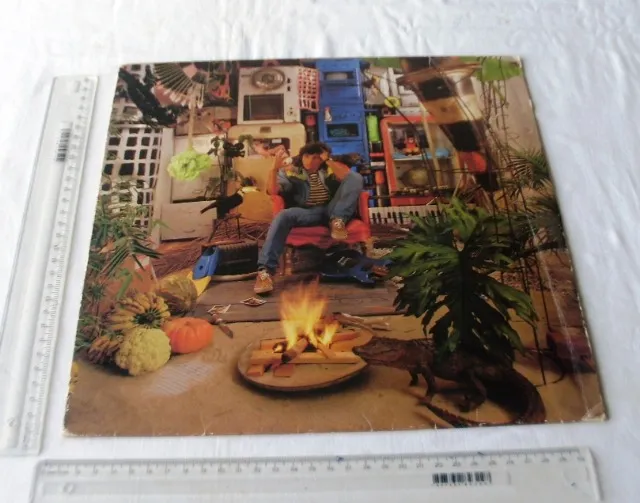 Disco Vinil - Evandro Mesquita - Evandro - Anos 80