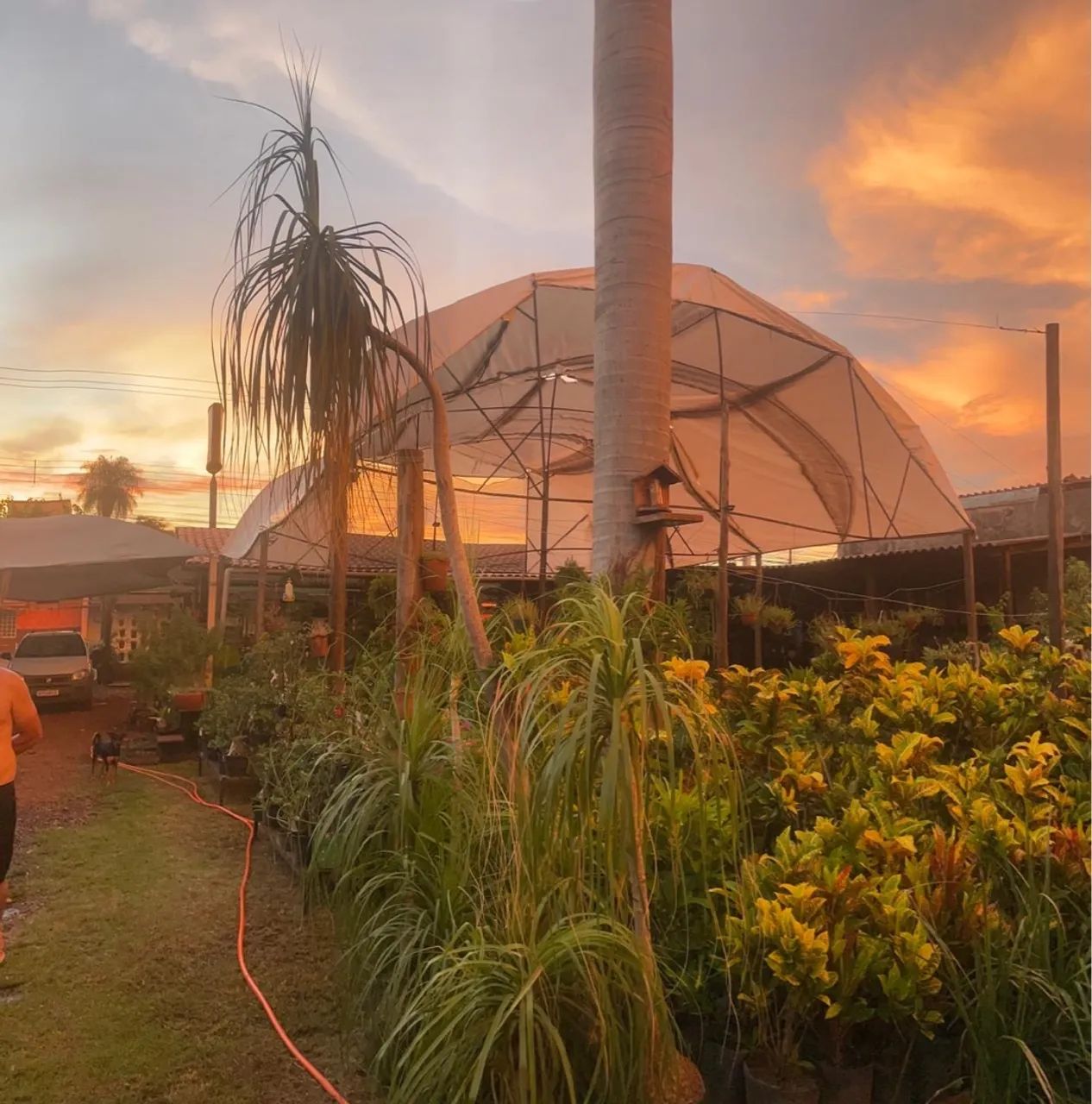 50% de desconto  - Foto 3