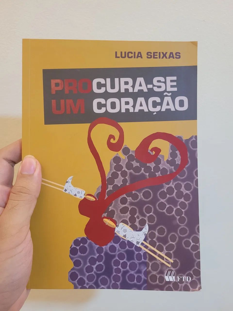 Procura-se um coração - Lucia Seixas