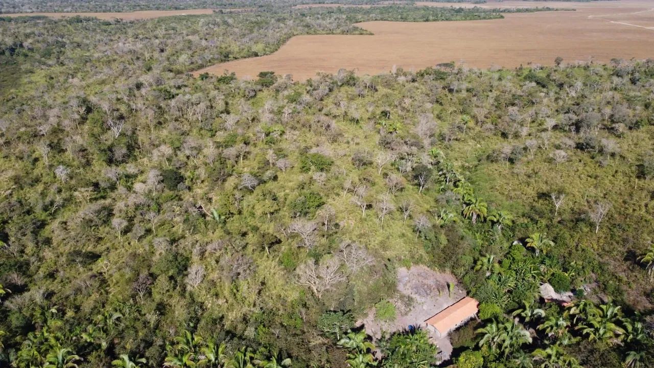 Fazenda 400 Ha Asfalto Energia Água Internet Região Desenvolvida