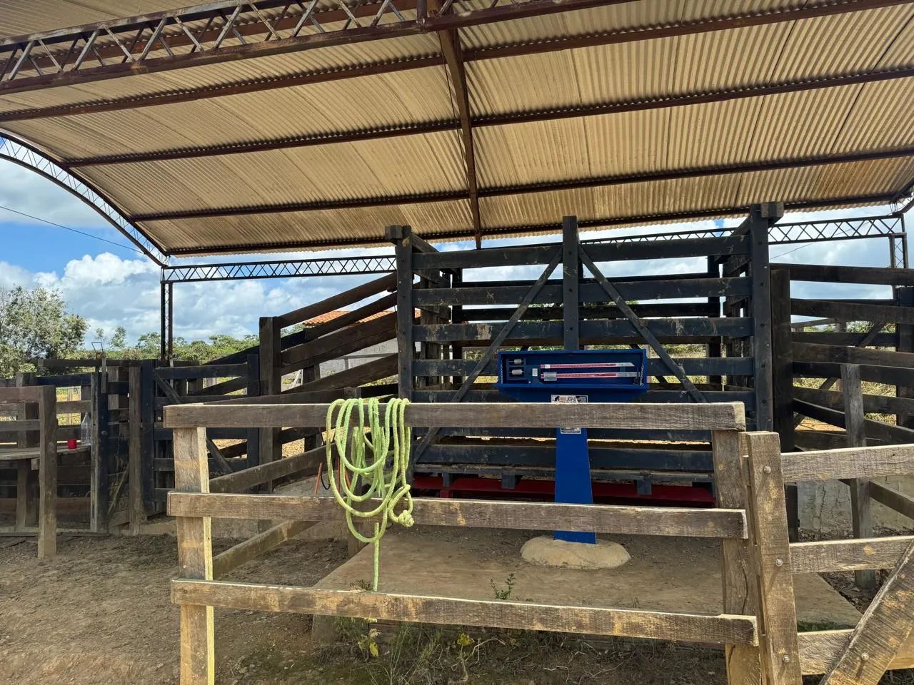 Fazenda Buriticupu-MA / 40 Alqueire - Foto 5