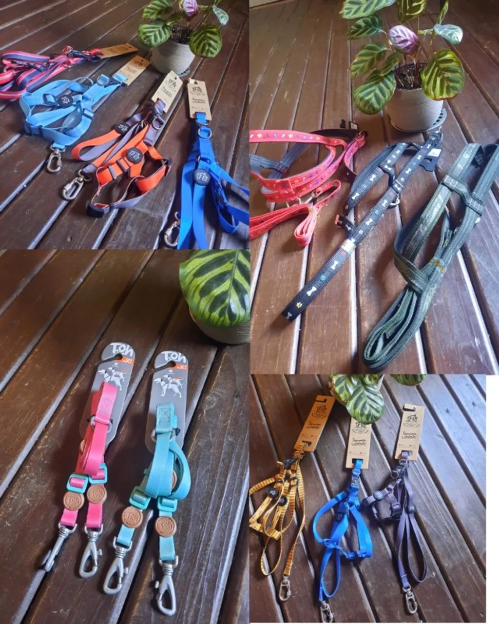 Kit de acessorios para pet shop