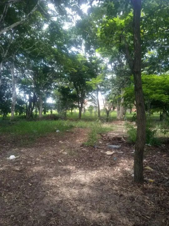 área - Jardim Planalto de Viracopos - Campinas - Foto 10