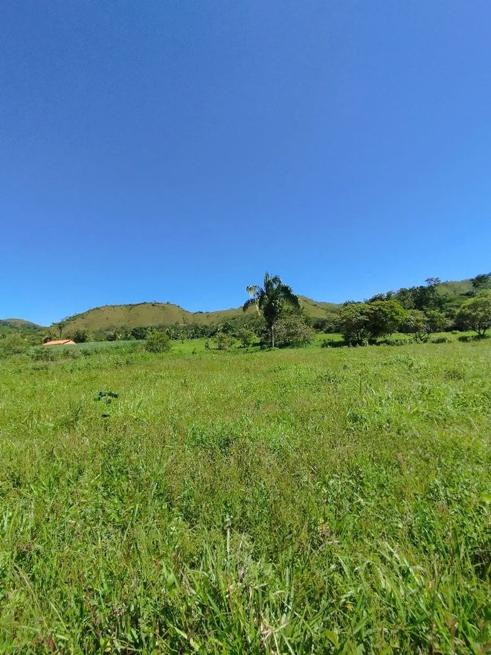 FAZENDA CHAPADA DOS VEADEIROS